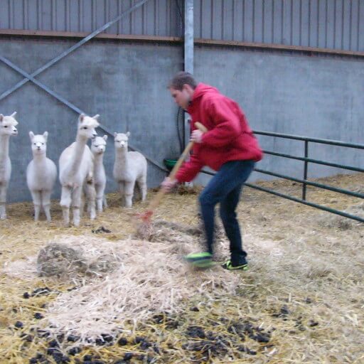 Vrijgezellen Macho's (mannen)